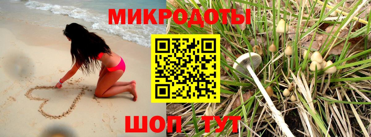 Карабулак  Псилоцибиновые грибы Cubensis  Вход с VPN 